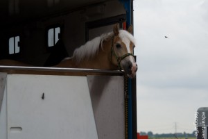 StalMidlerBokaal-40 1024x683